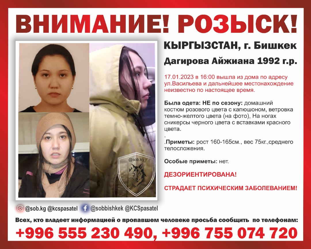 Ориентировка на разыскиваемую
