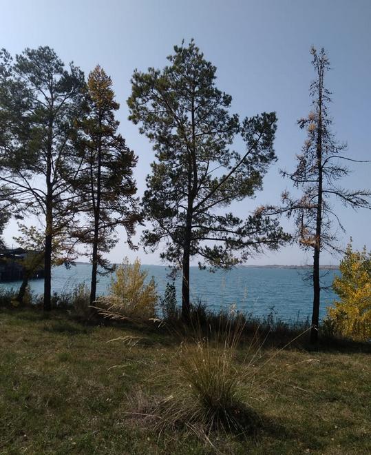 По дороге в Каракол