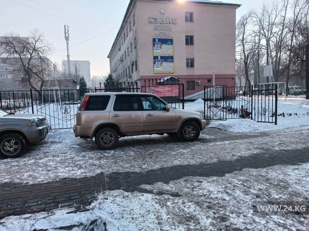 Чудаки парковки