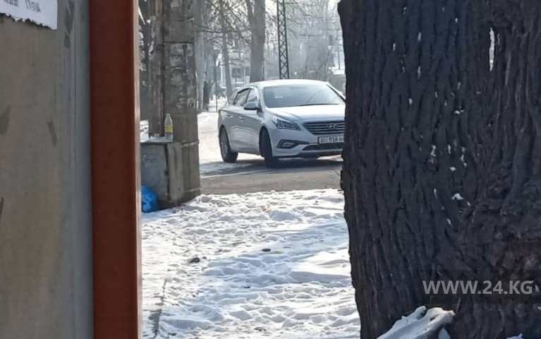 Чудаки парковки