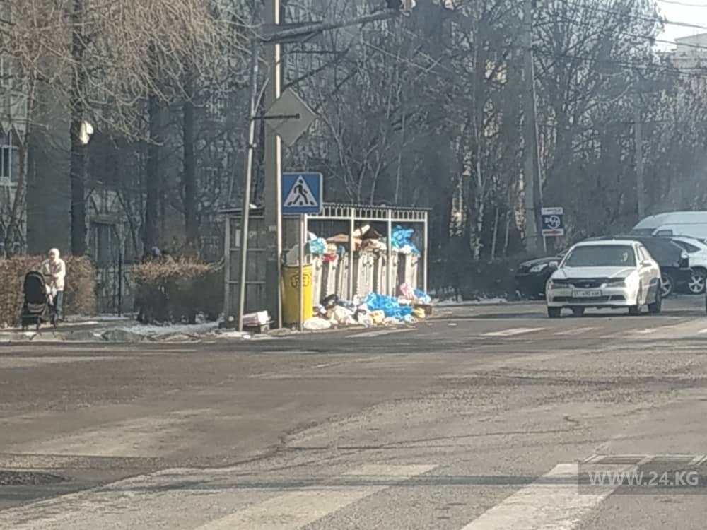 Бишкекчане продолжают жаловаться на переполненные контейнеры для бытовых отходов
