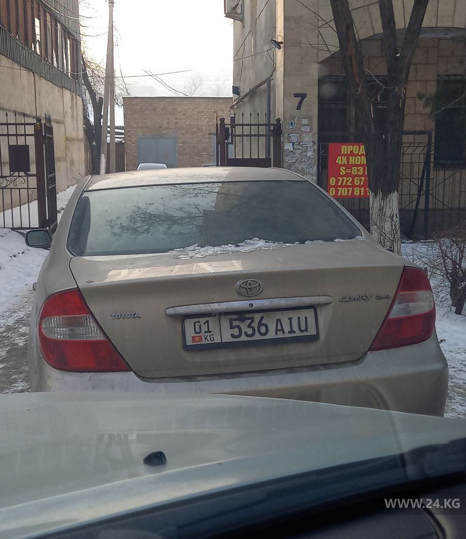 Чудаки парковки