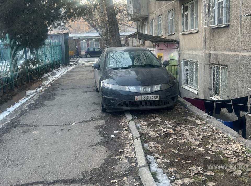 Чудаки парковки