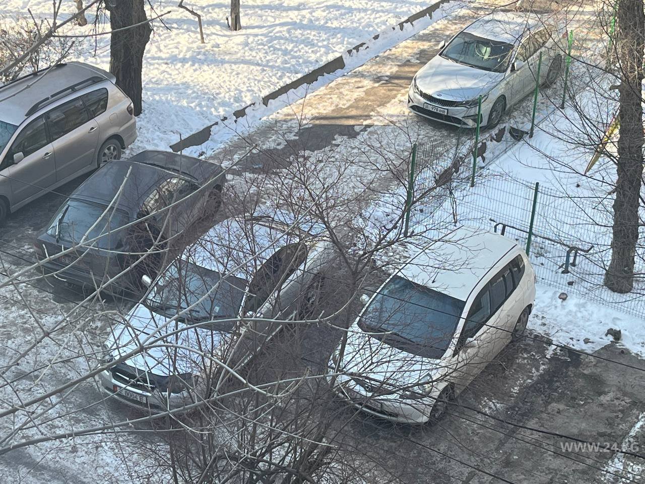 Чудаки парковки