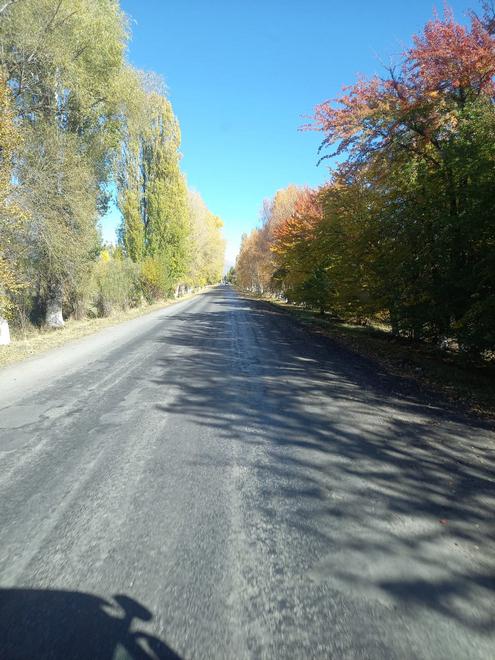 По дороге в Каракол