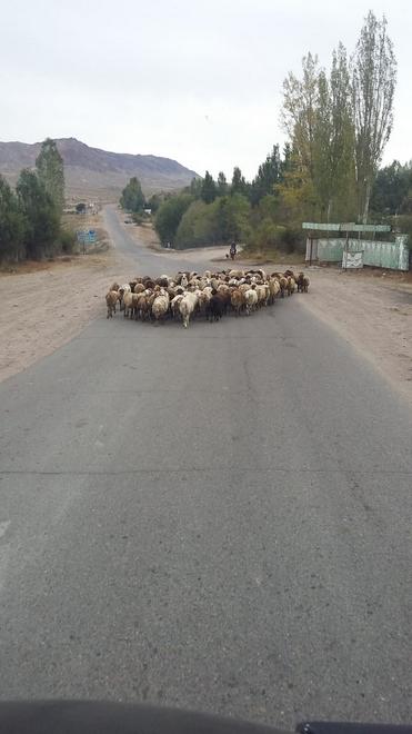 По дороге в Каракол
