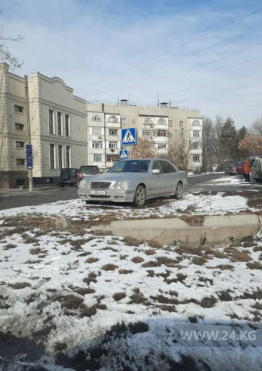 Чудаки парковки