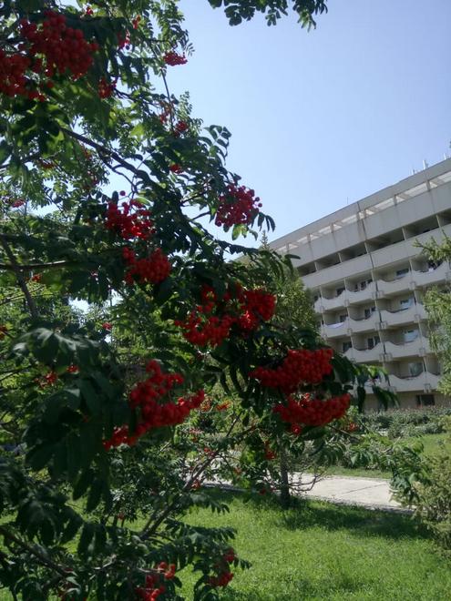 По дороге в Каракол