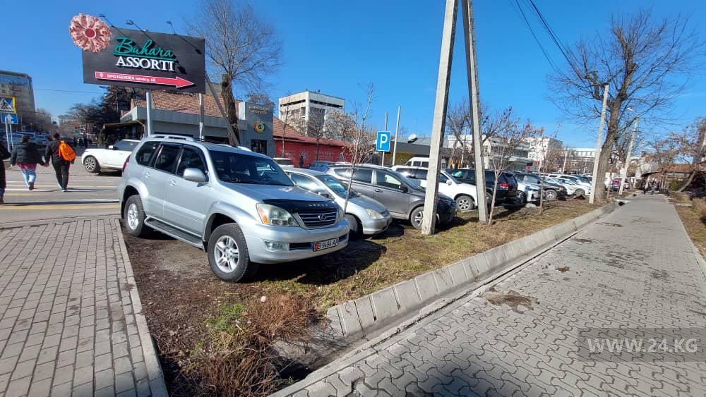 Чудаки парковки