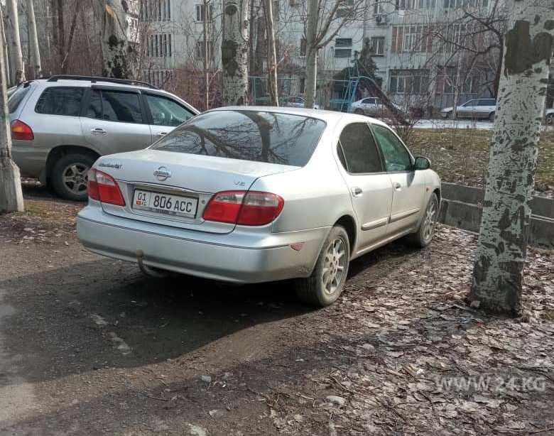 Чудаки парковки