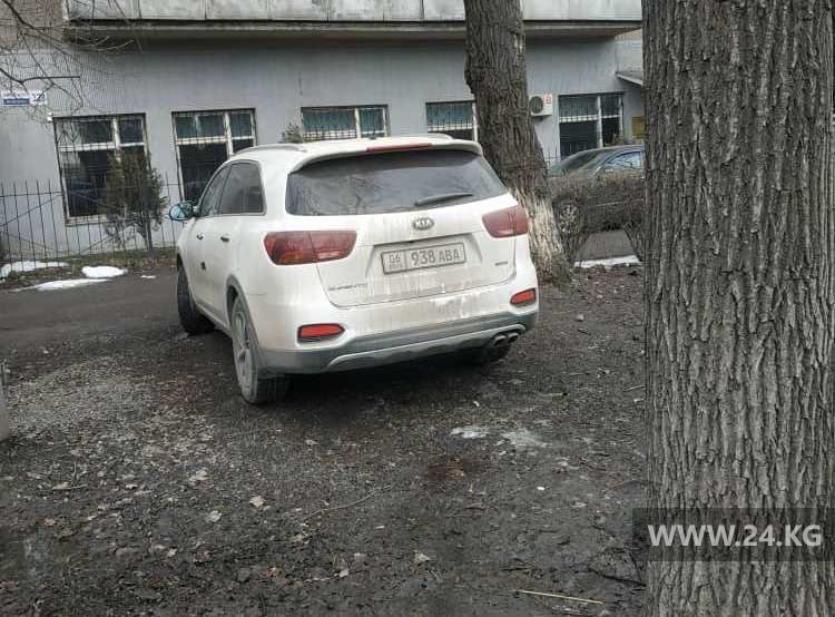Чудаки парковки