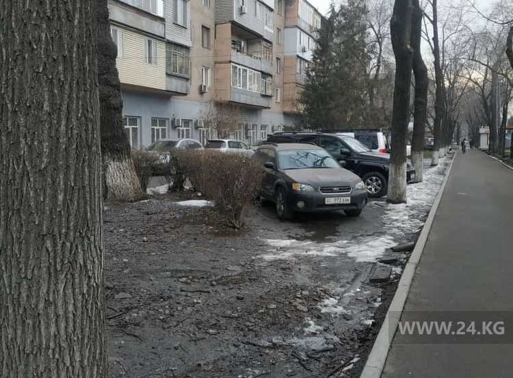 Чудаки парковки