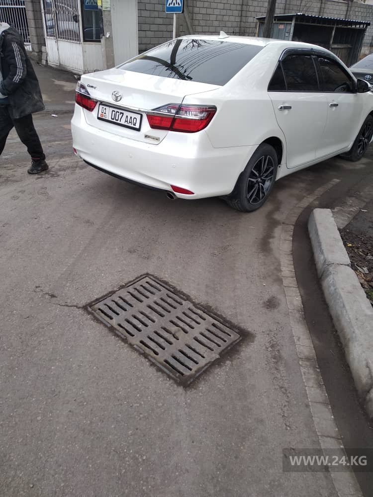 Чудаки парковки