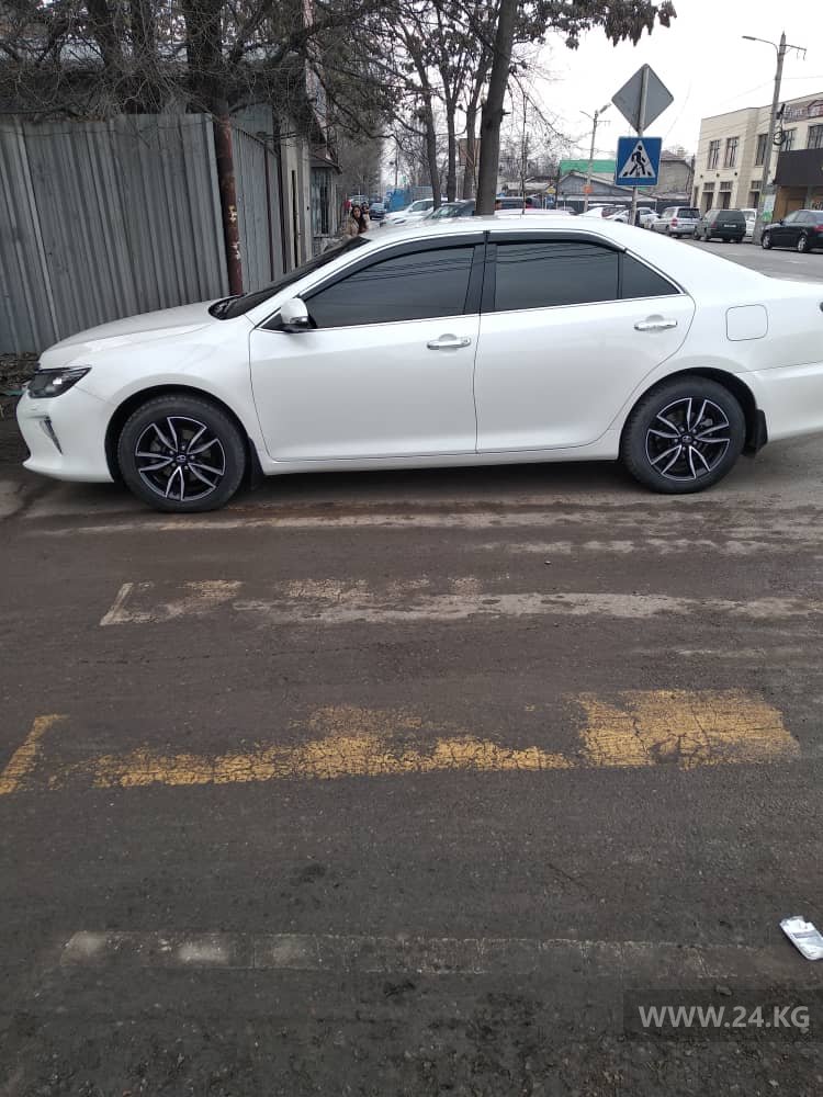 Чудаки парковки