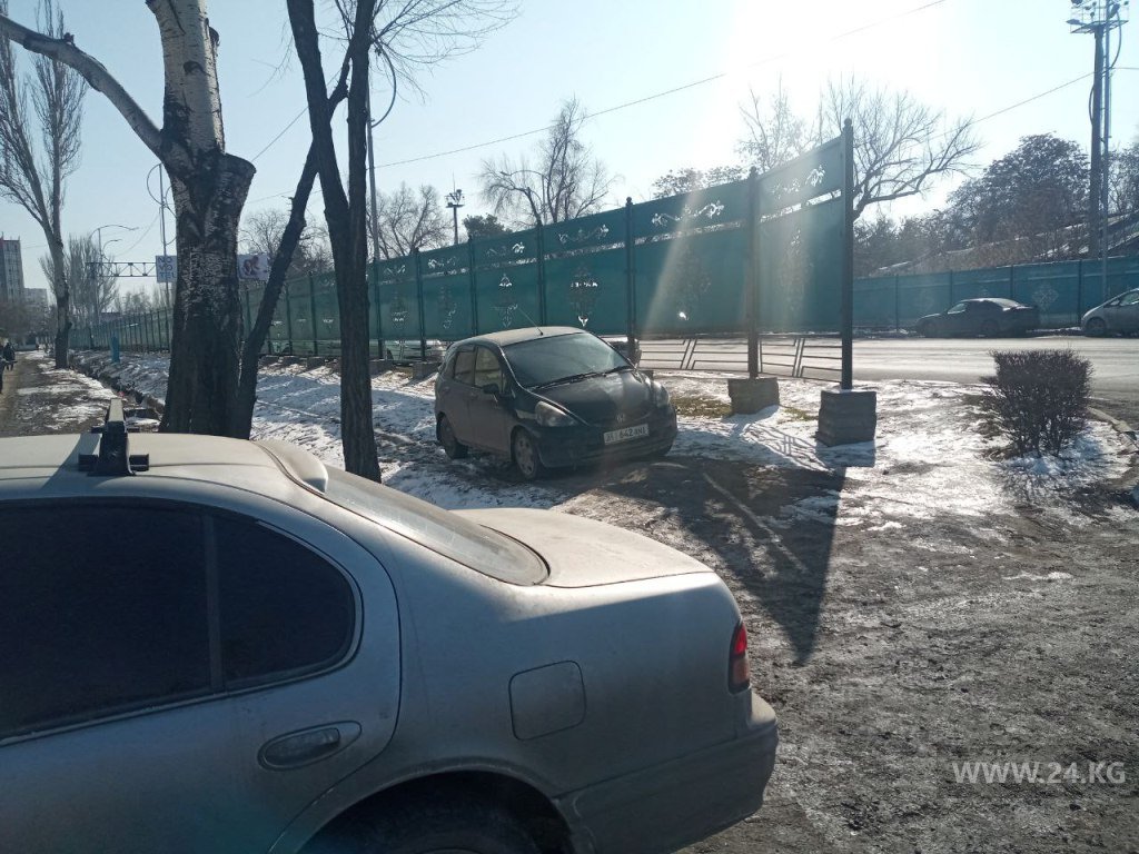 Чудаки парковки