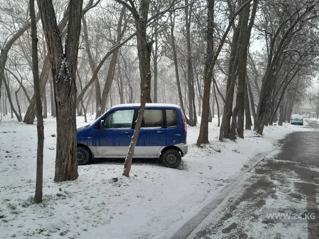 Чудаки парковки
