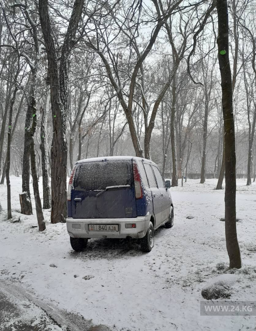 Чудаки парковки