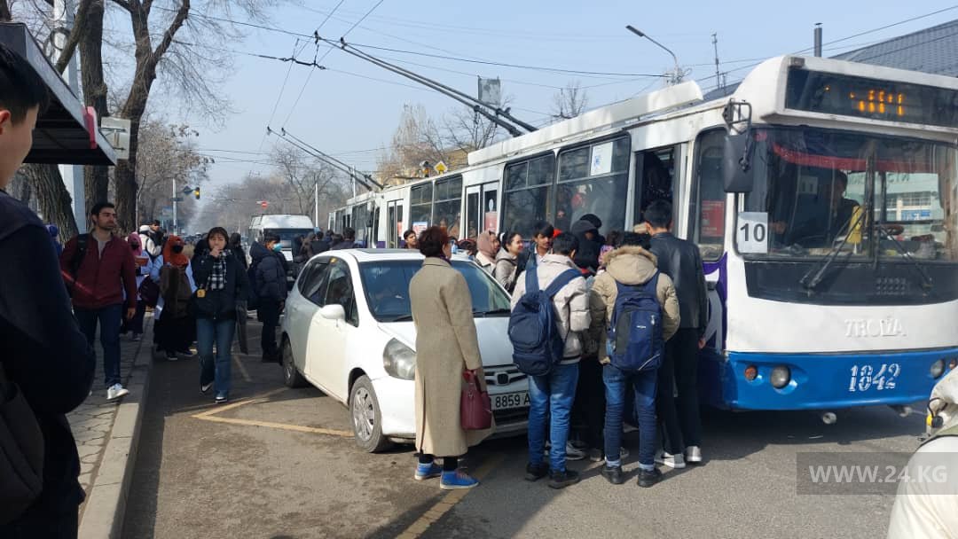 Чудаки парковки