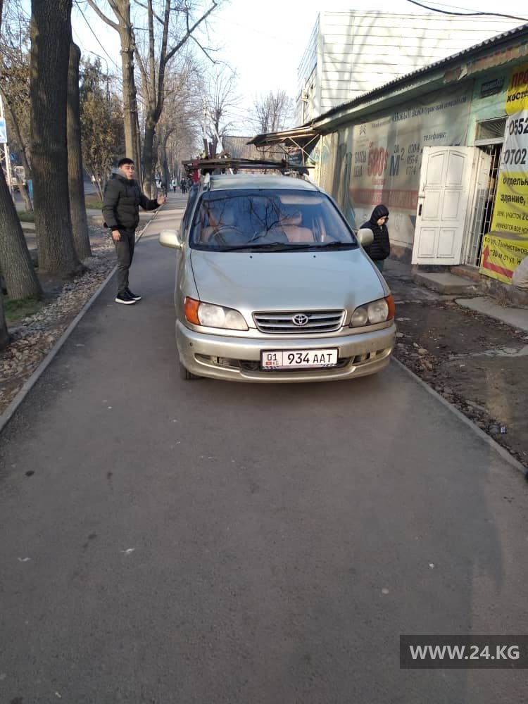 Чудаки парковки