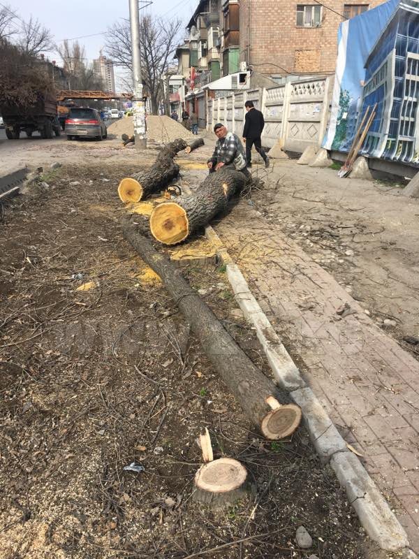 читателя ИА «24.kg»