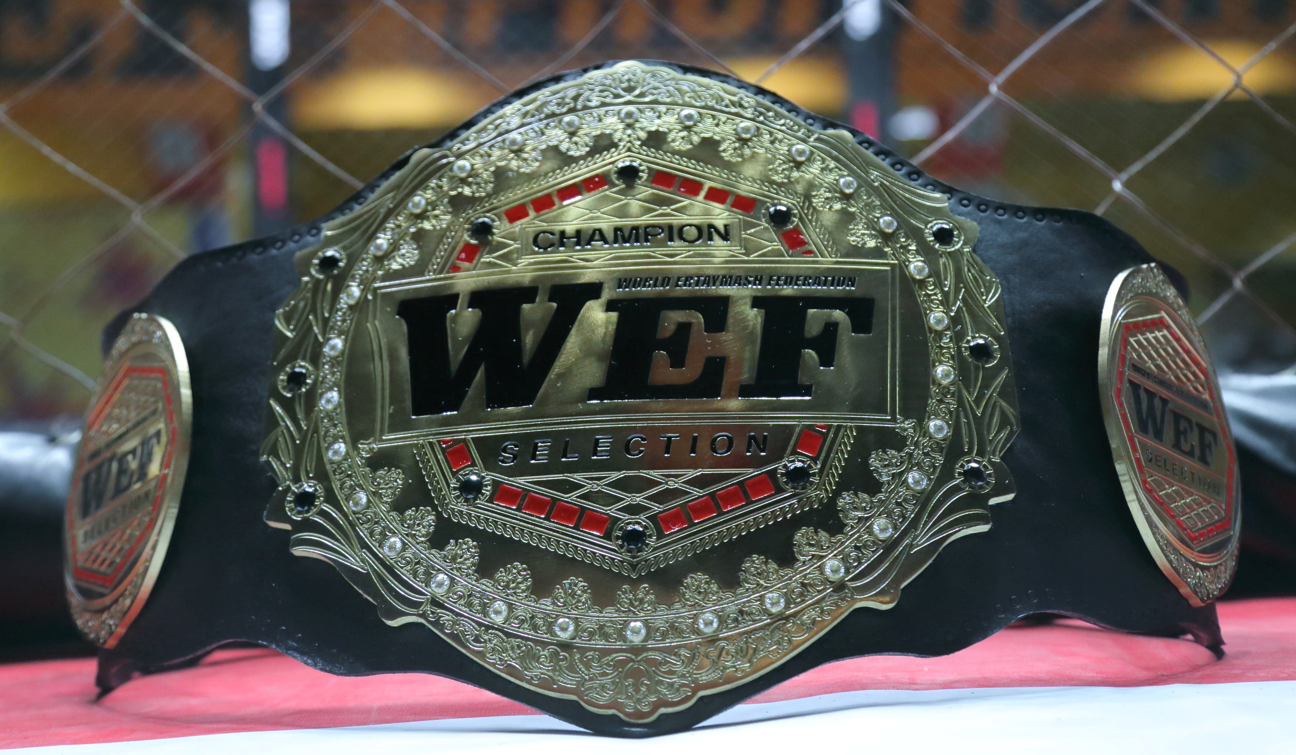 Чемпионский пояс WEF