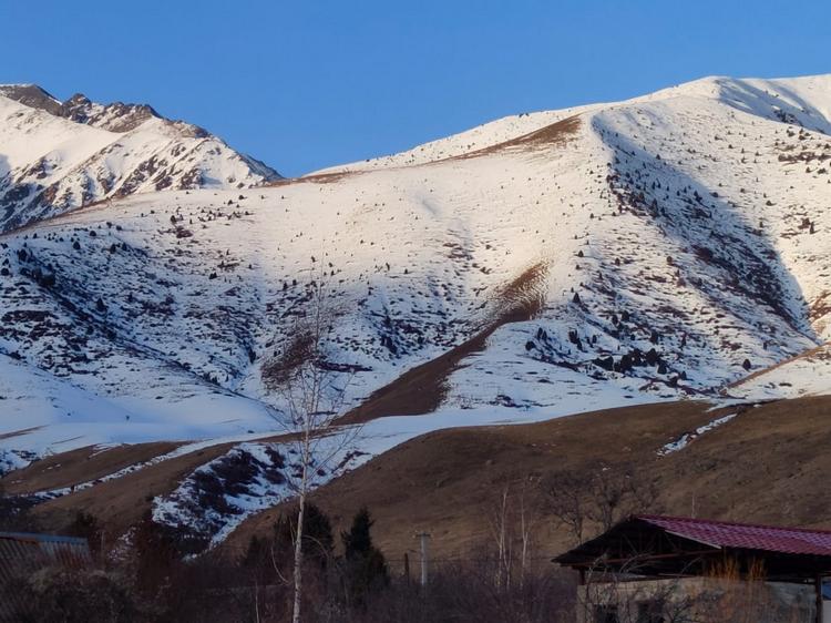 Село Кашка-Суу