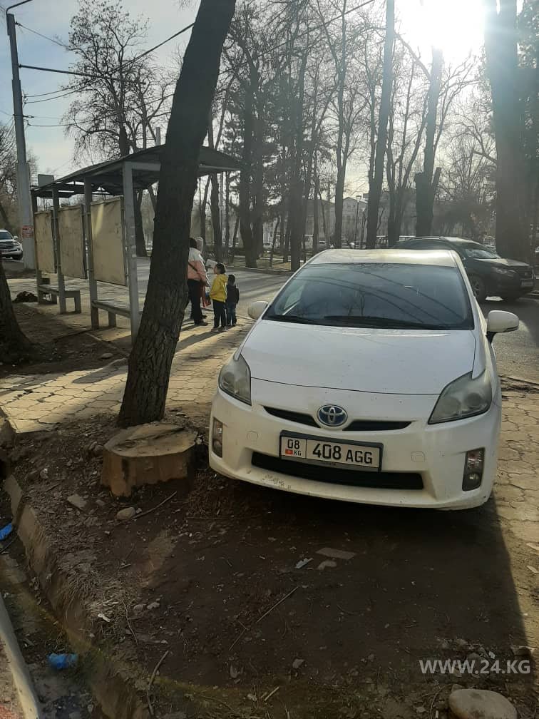 Чудаки парковки