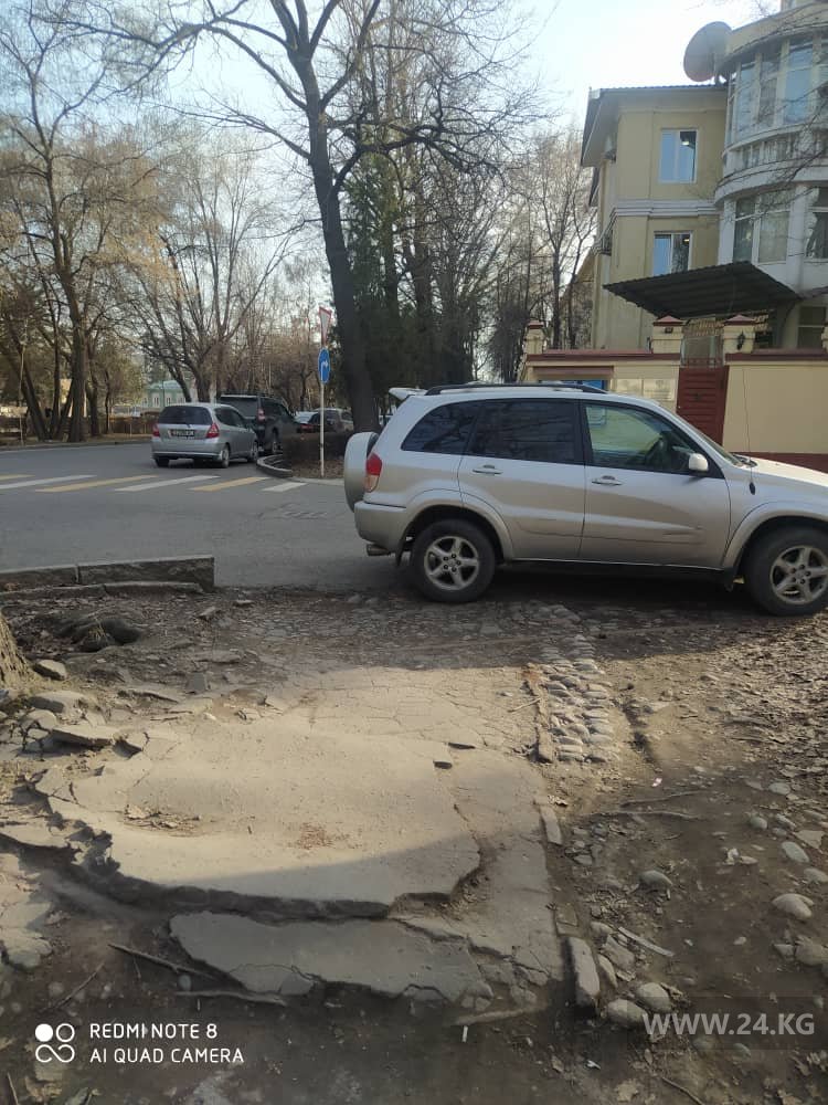 Чудаки парковки