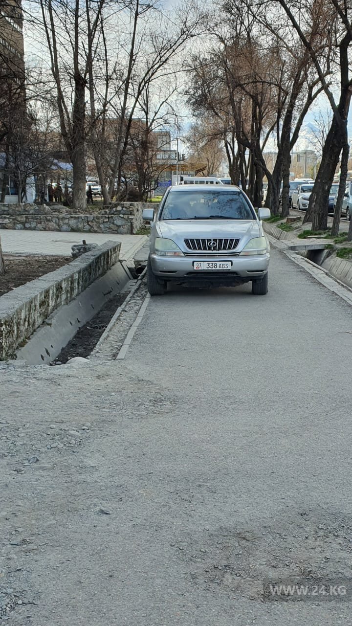Чудаки парковки