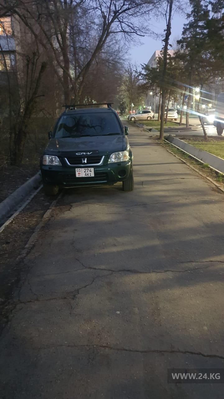 Чудаки парковки