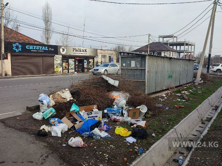 Переполненные контейнеры для бытовых отходов