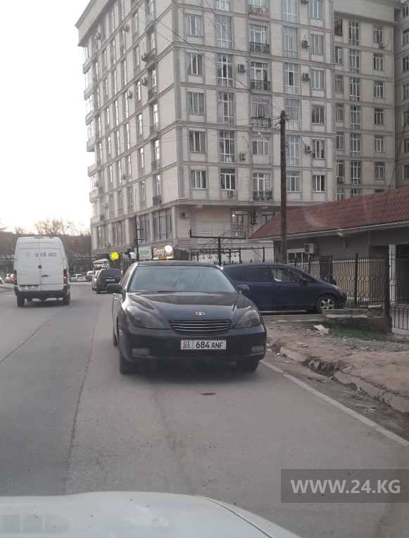 Чудаки парковки