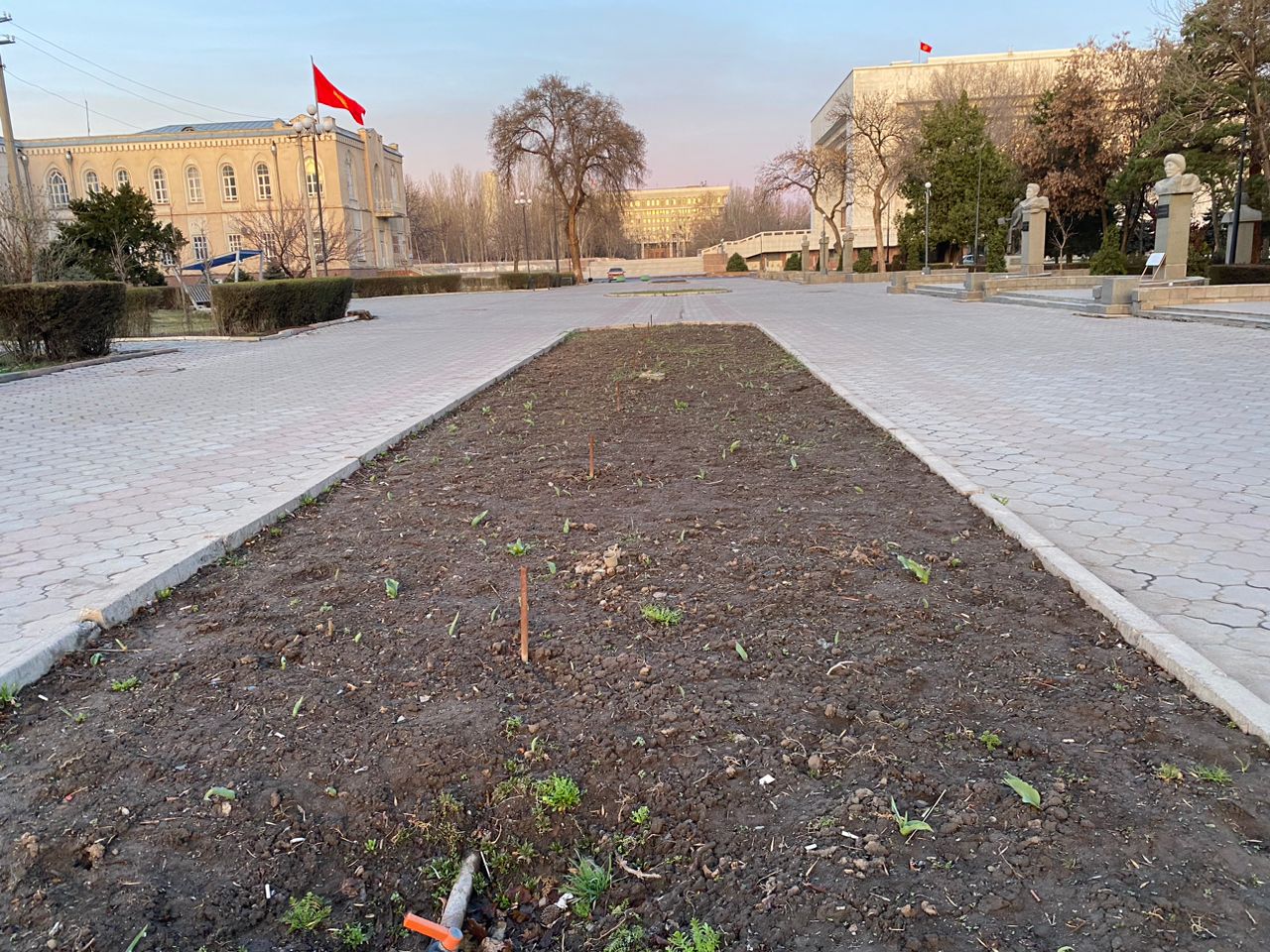 Клумбы возле Дубового парка