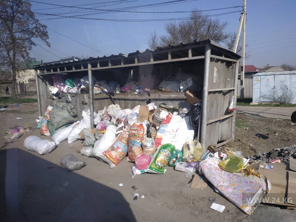 Коммунальные службы несвоевременно вывозят мусор