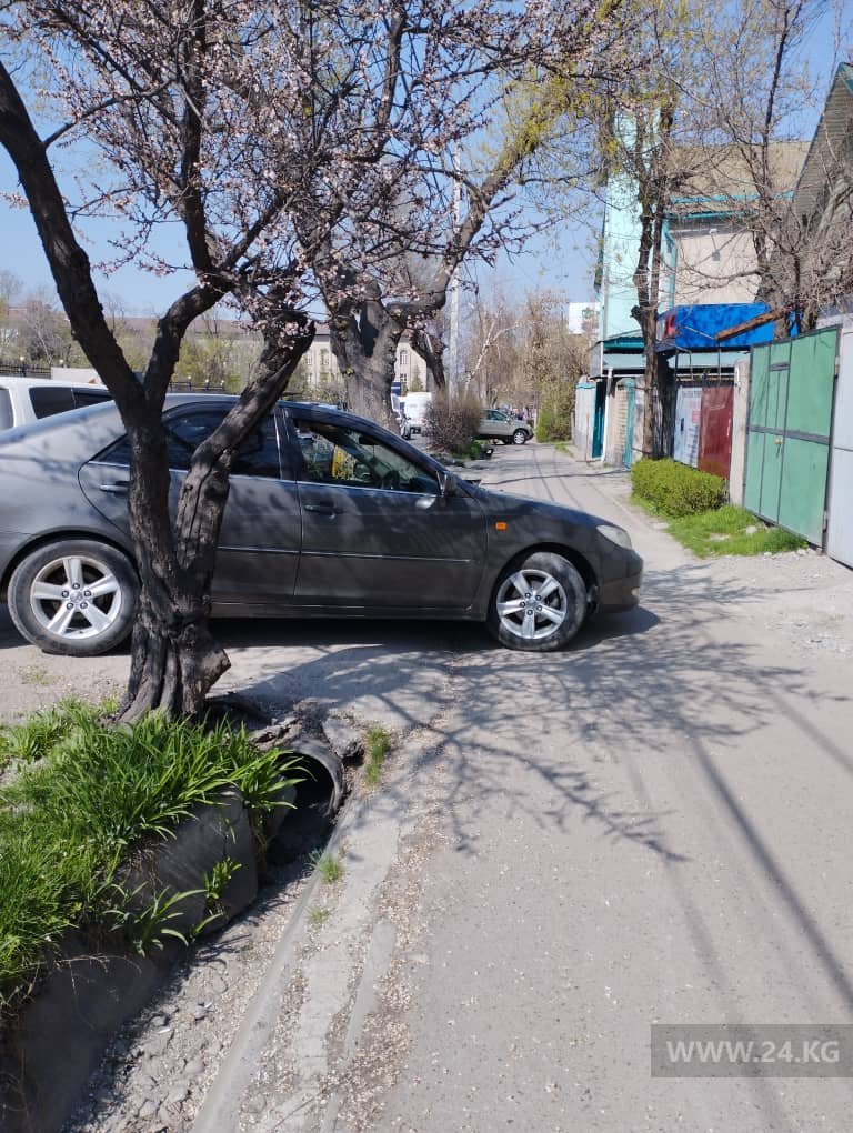 Чудаки парковки