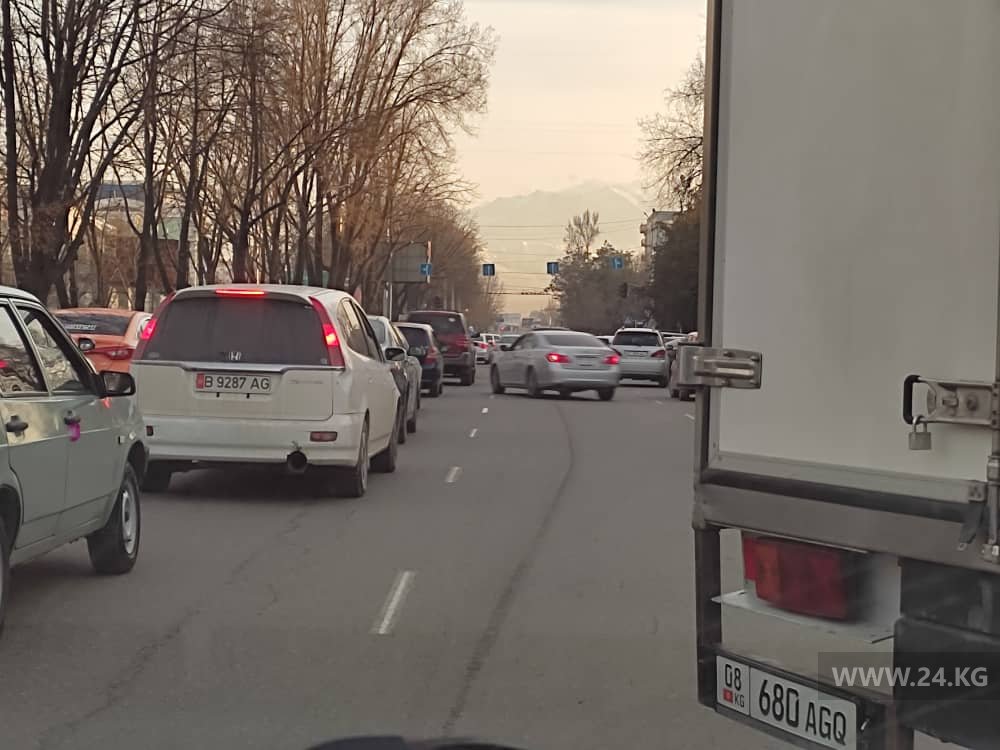 Чудаки парковки