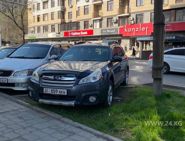 Чудаки парковки