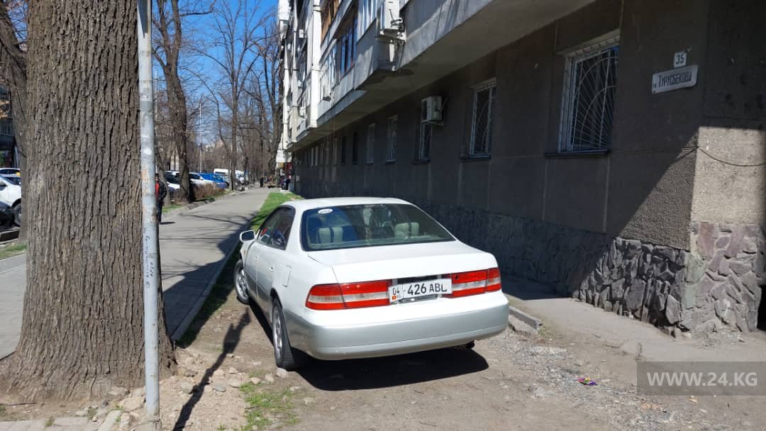 Чудаки парковки