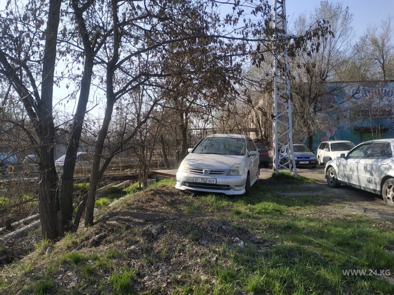 Чудаки парковки