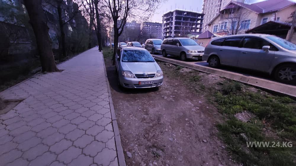 Чудаки парковки