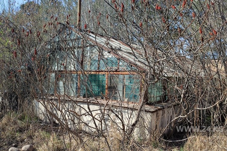 Одна из теплиц Ботсада. В это сложно поверить, но она все еще работает