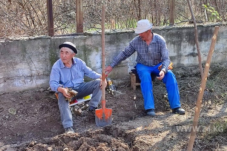 Большинство сотрудников Ботсада люди пенсионного возраста