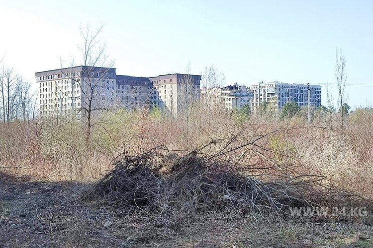 Новостройки все больше охватывают Ботсад в плотное железобетонное кольцо
