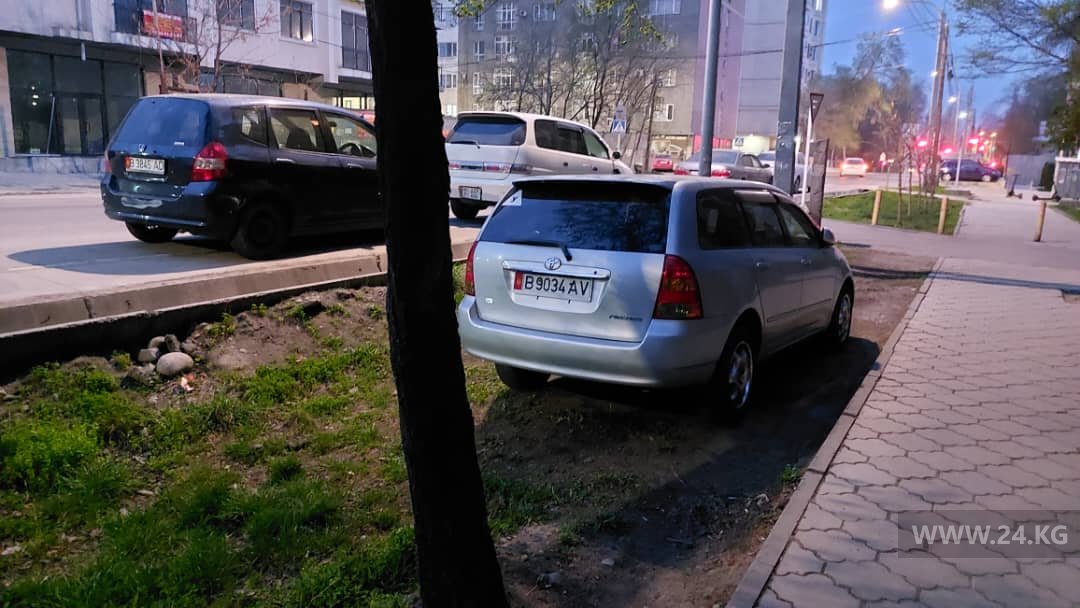 Чудаки парковки