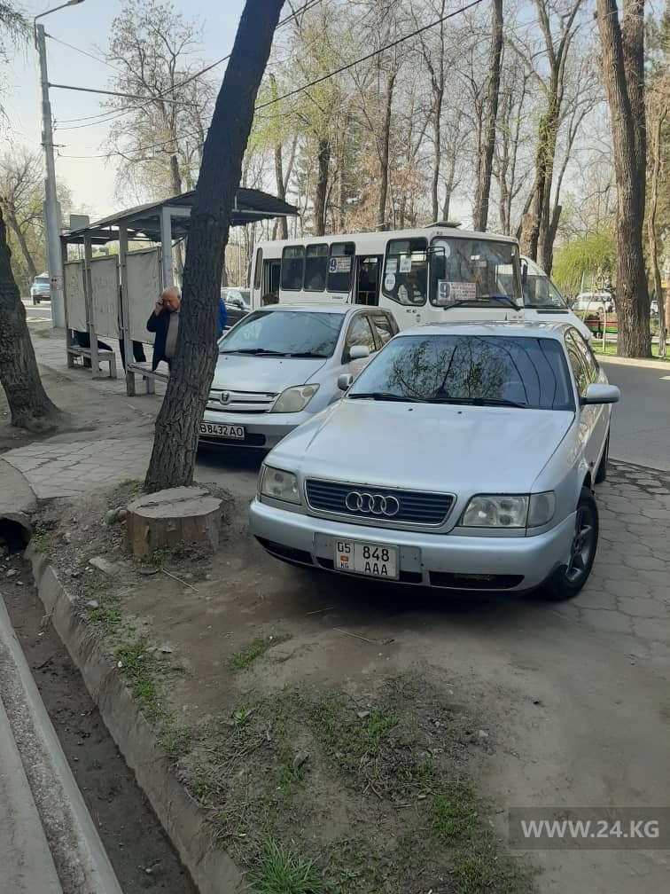 Чудаки парковки