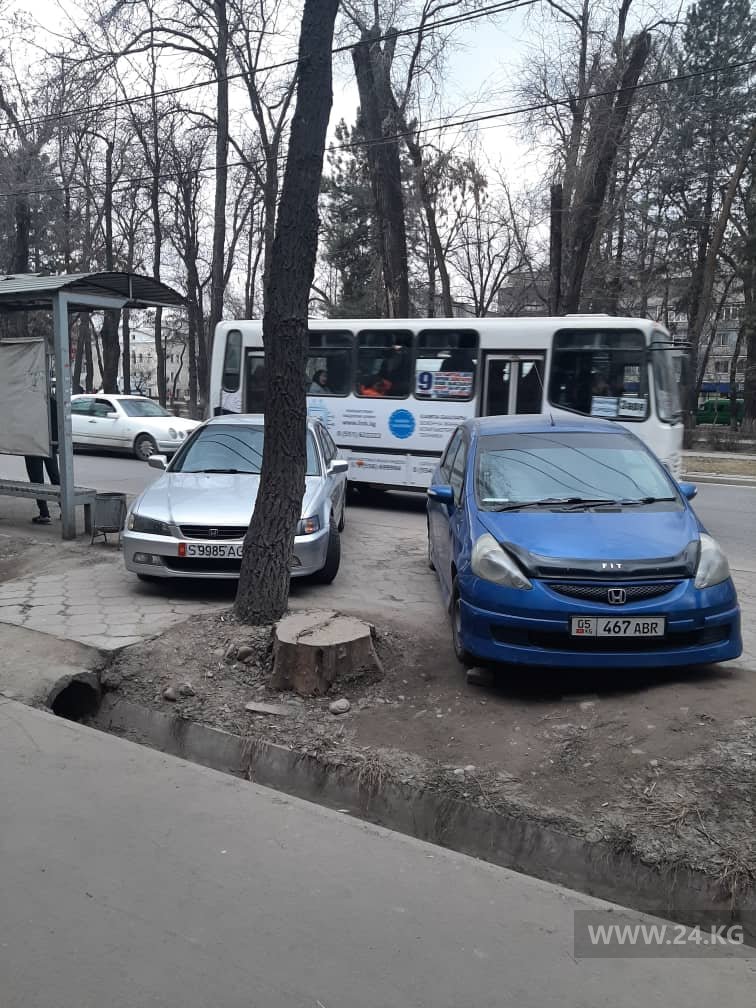 Чудаки парковки