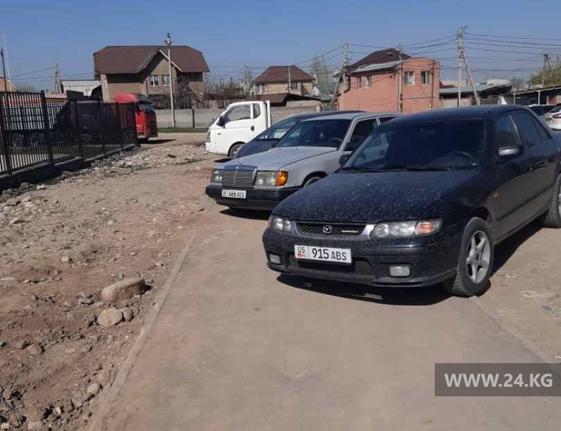 Чудаки парковки