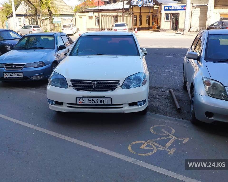 Чудаки парковки
