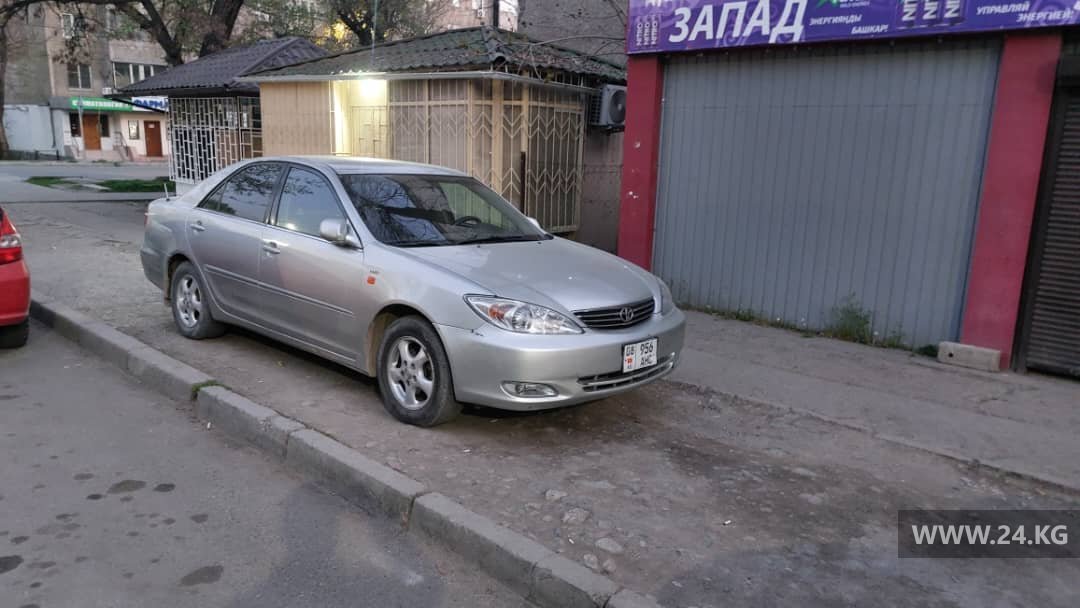 Чудаки парковки
