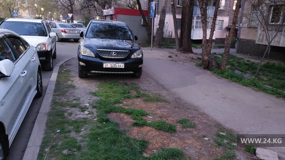 Чудаки парковки